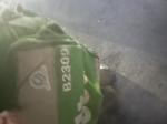 Fotoğraf
